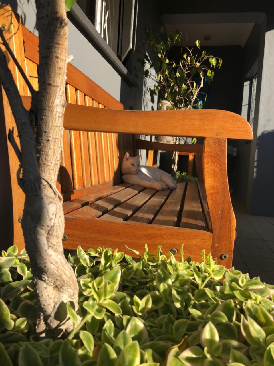 Albergo For Backpackers Plettenberg Bay Eksteriør billede