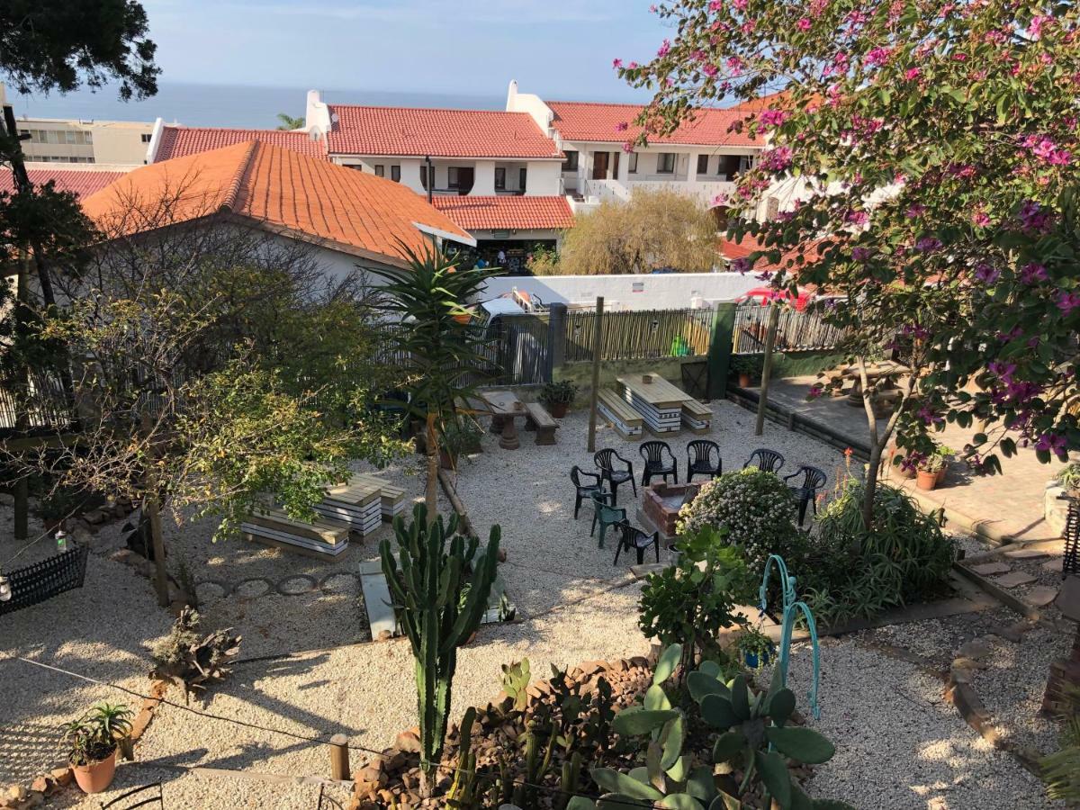 Albergo For Backpackers Plettenberg Bay Eksteriør billede